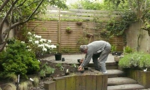Gardening – Social, local, eco-responsible